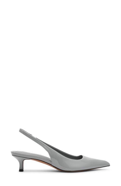 Steve Madden Kittie Slingback Pointed Toe Kitten Heel Pump In Gray