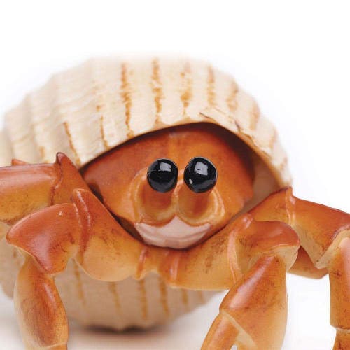Shop Safari Ltd. Hermit Crab Toy