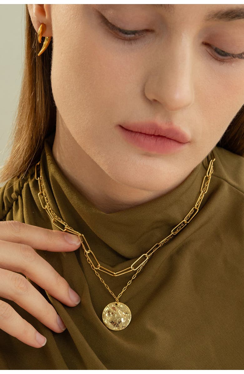 Bearfruit Jewelry 14k Gold Plated Roth Layered Necklace Trendy Everyday Minimalist, Alternate, color, Gold