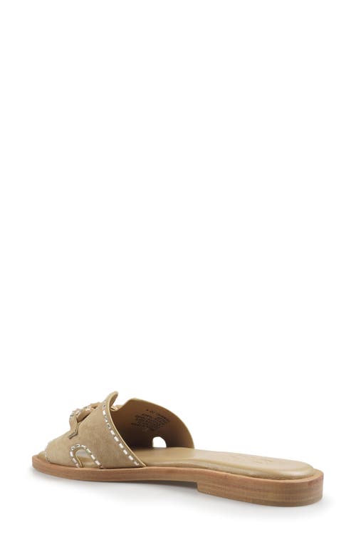 Zigi Nerano Slide Sandal In Natural