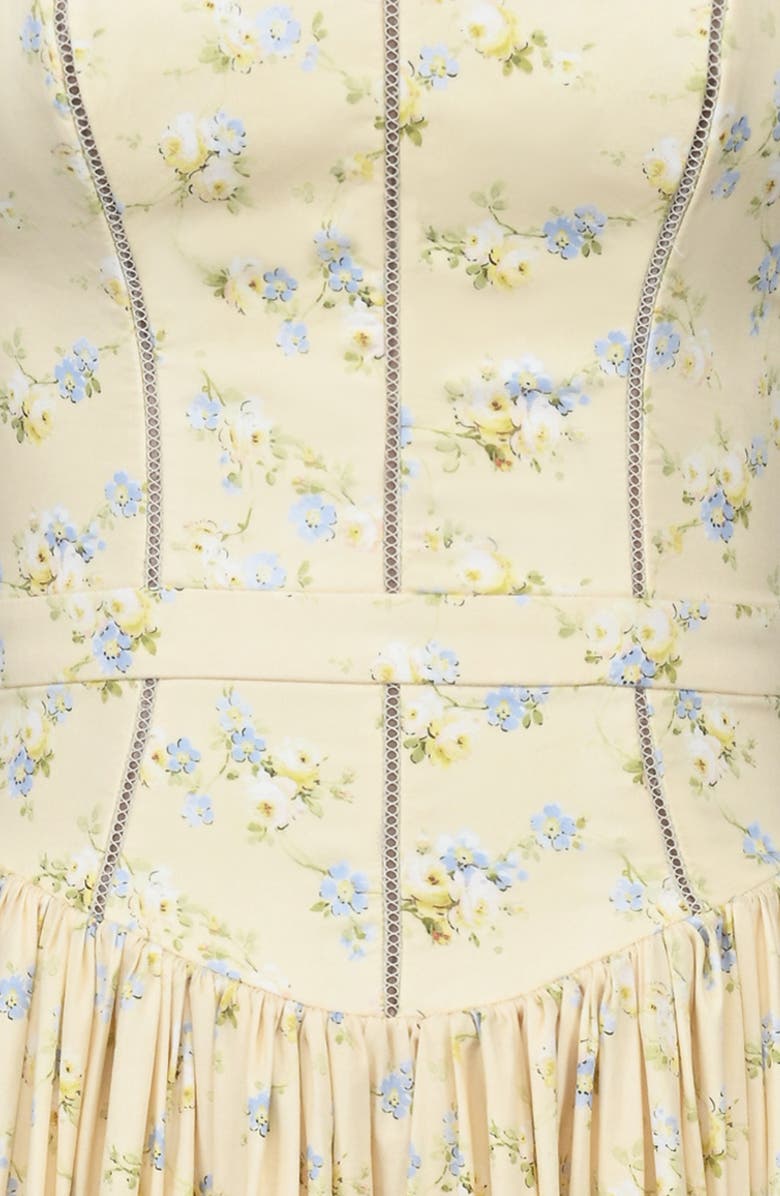 HOUSE OF CB Ysabella Floral Stretch Cotton Maxi Sundress, Alternate, color, Lemon Floral