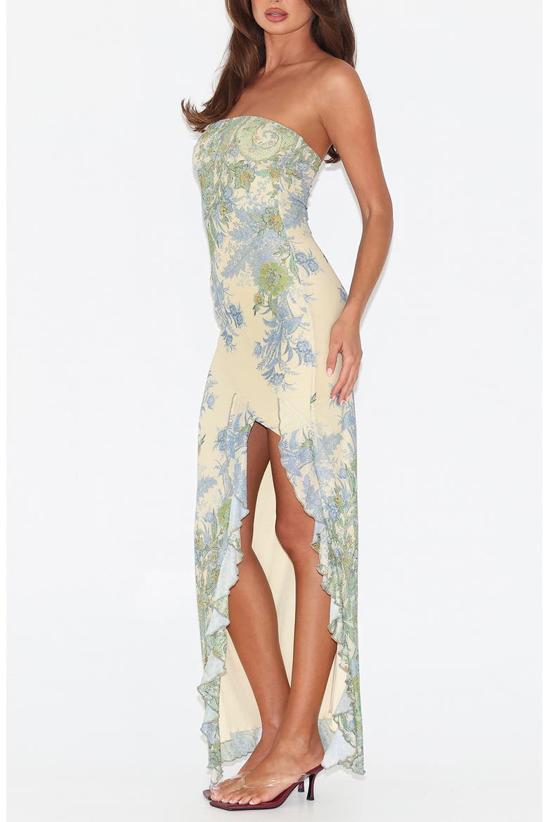 Theo Floral Strapless Mesh Maxi Dress, Alternate, color, PAISLEY TAPESTRY