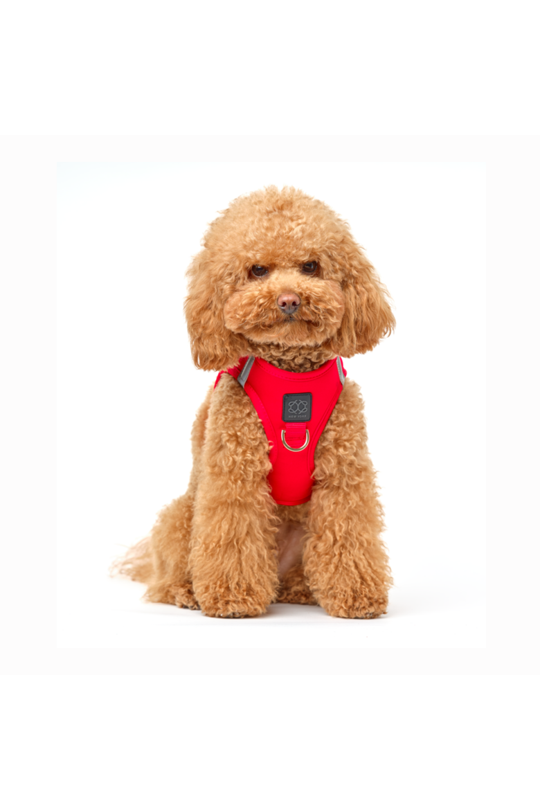 SoHo Dog Harness, Alternate, color, Iconic Red - Small