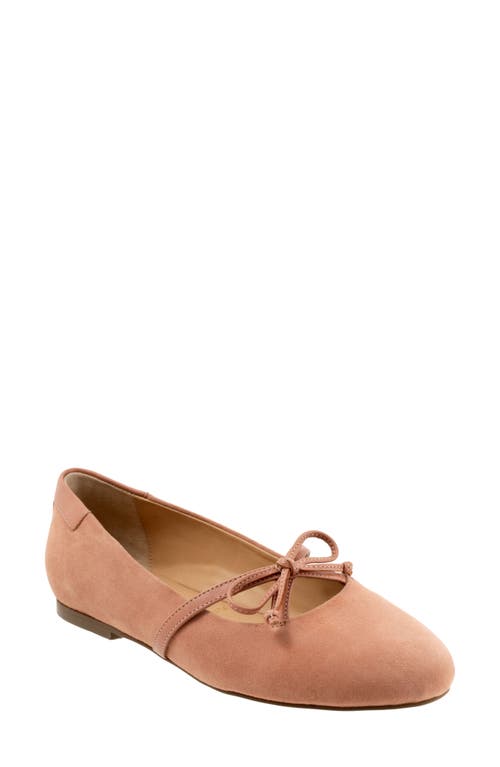Trotters Carissa Ballet Flat