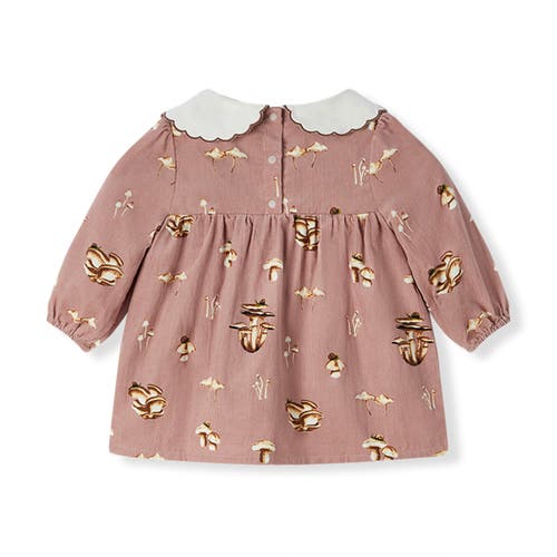 Milkbarn Organic Corduroy Long Sleeve Collared Dress In Brown