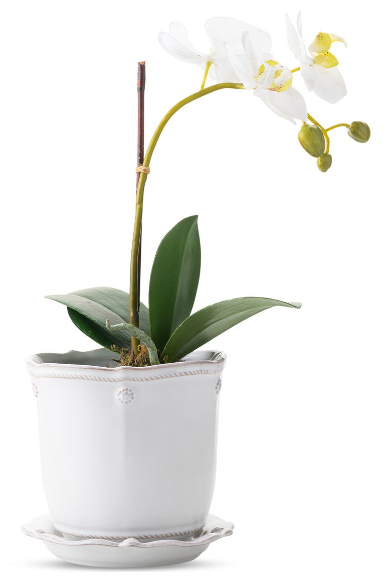 Berry & Thread Planter with Saucer, Alternate, color, WHITEWASH