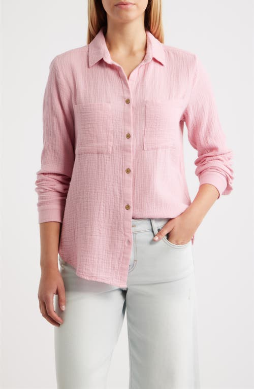 beachlunchlounge Micaela Cotton Button-Up Shirt in Flamingo Rose at Nordstrom, Size Large