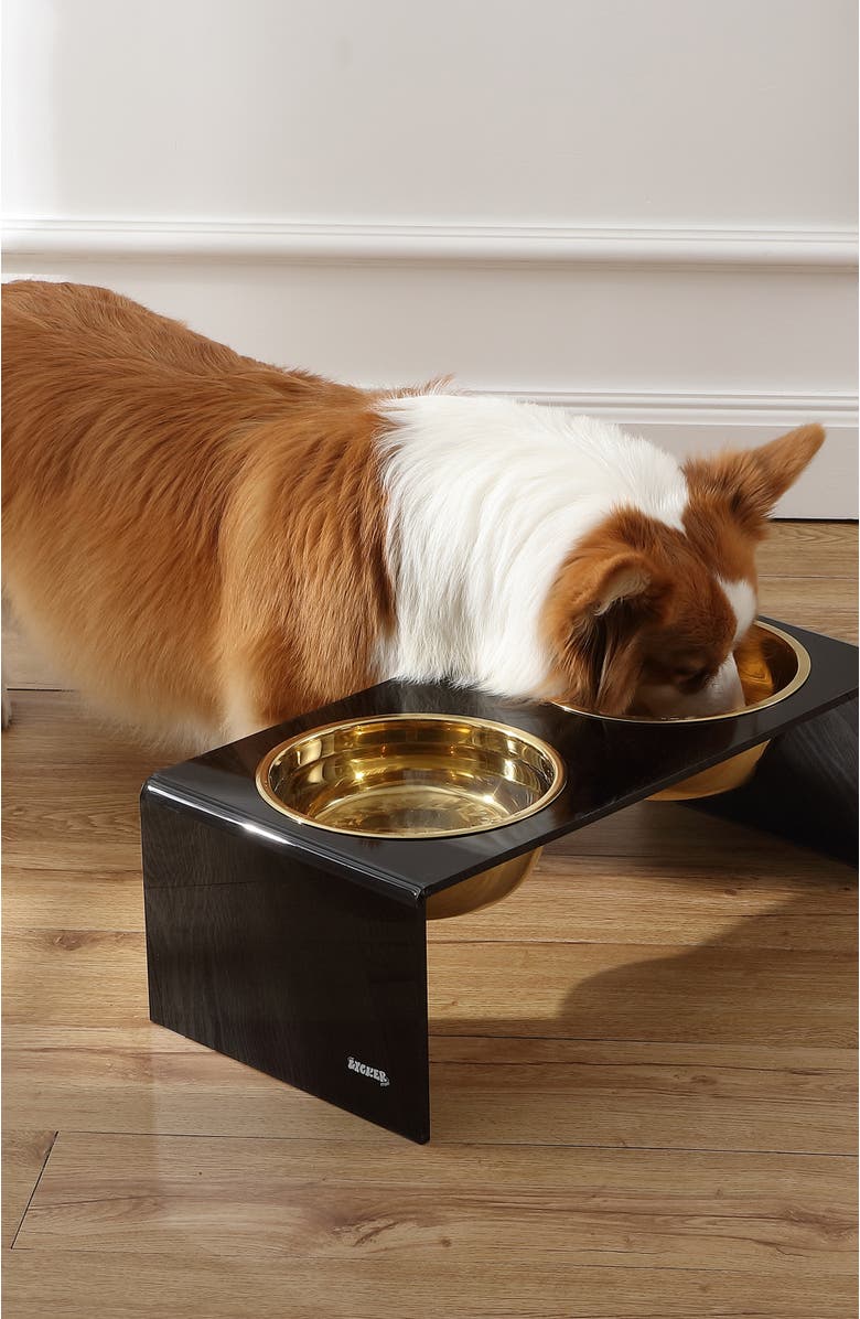 The Licker Store Keaton Modern Lucite Rectangular Elevated Pet Feeder with 2-Stainless Steel Bowls, Alternate, color, Black/Gold