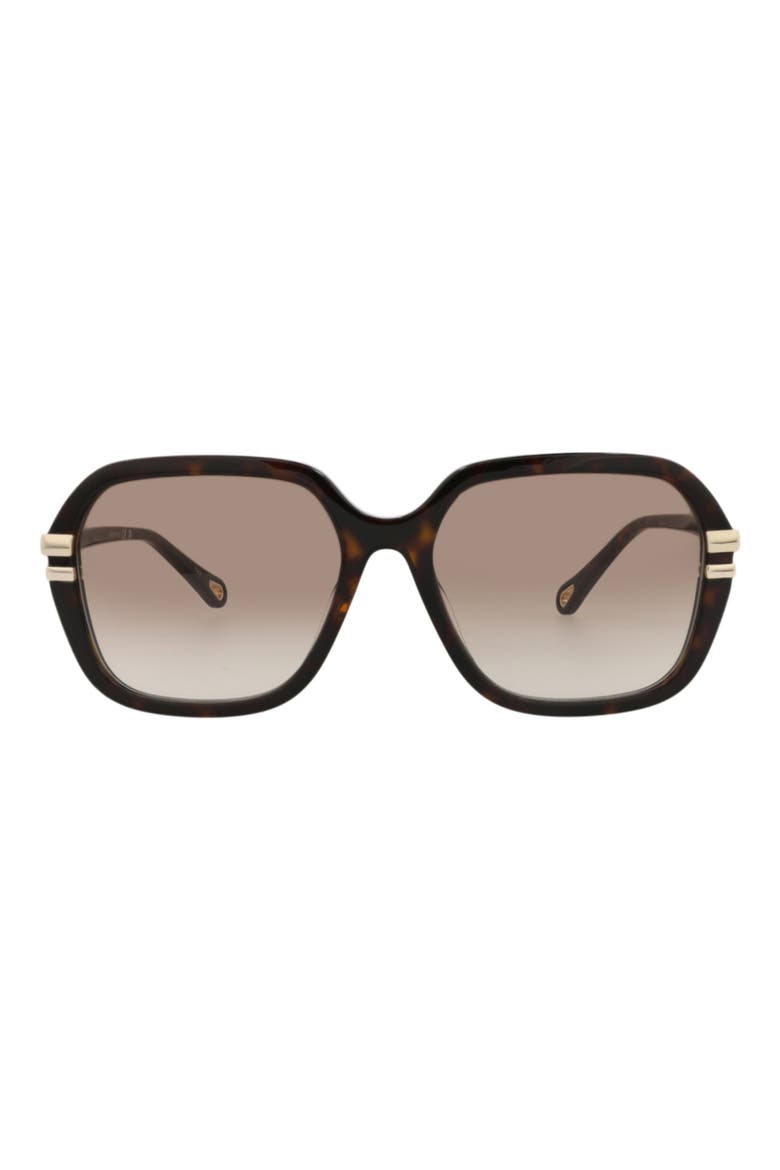 57mm Oversize Sunglasses, Main, color, HAVANA/ HAVANA BROWN