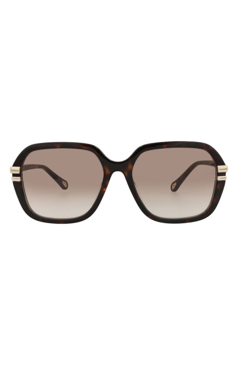 Chloé 57mm Oversize Sunglasses, Main, color, Havana/ Havana Brown