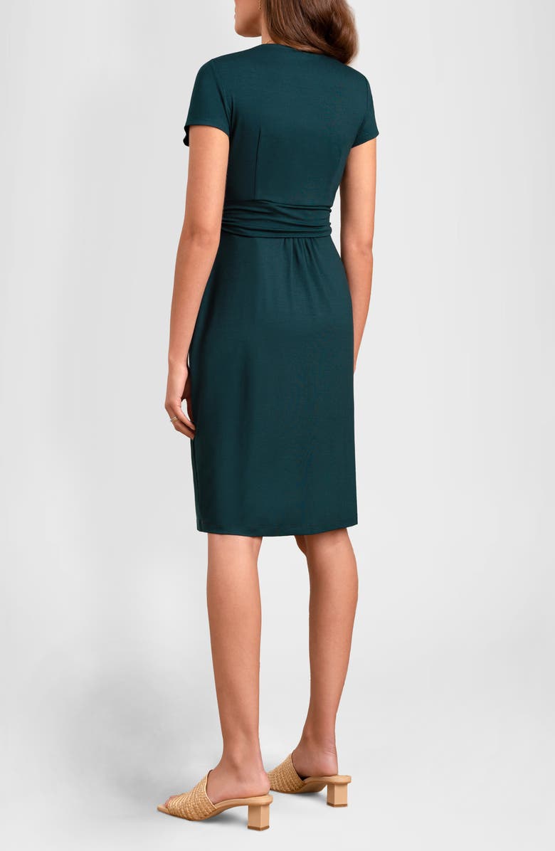 Seraphine Pleated Waist Maternity/Nursing Dress, Alternate, color, 