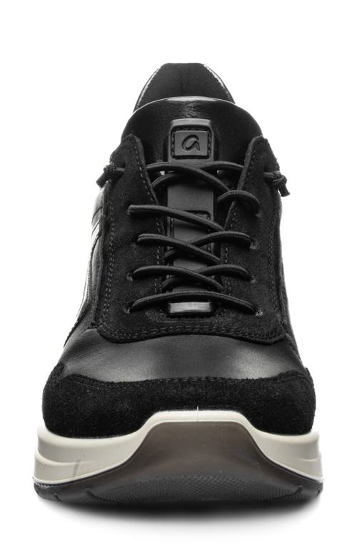 Ara Galicia Sneaker In Black