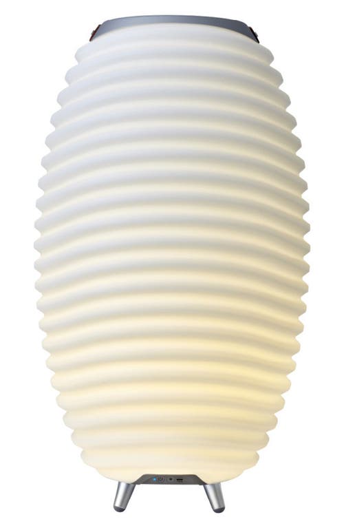 Adesso Lighting Synergy 65-inch Floor Lamp