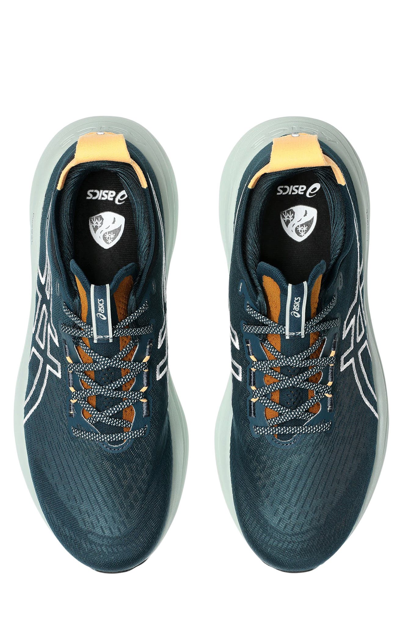 ASICS<sup>®</sup> GEL-NIMBUS<sup>®</sup> 27 TR Running Shoe, Alternate, color, 