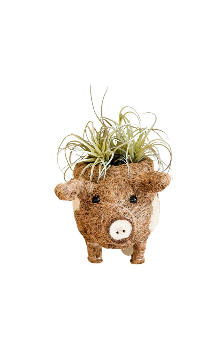 Farm Animal Coco Coir Planters, Alternate, color, Natural Brown