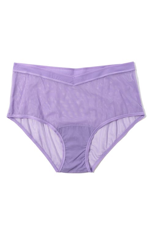 Hanky Panky Mesh Boyshorts