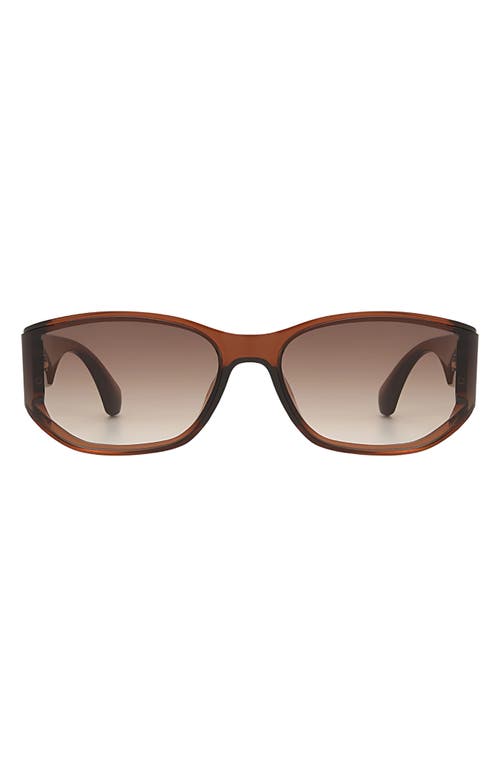 Fifth & Ninth Ember 60mm Oval Sunglasses In Brown/brown