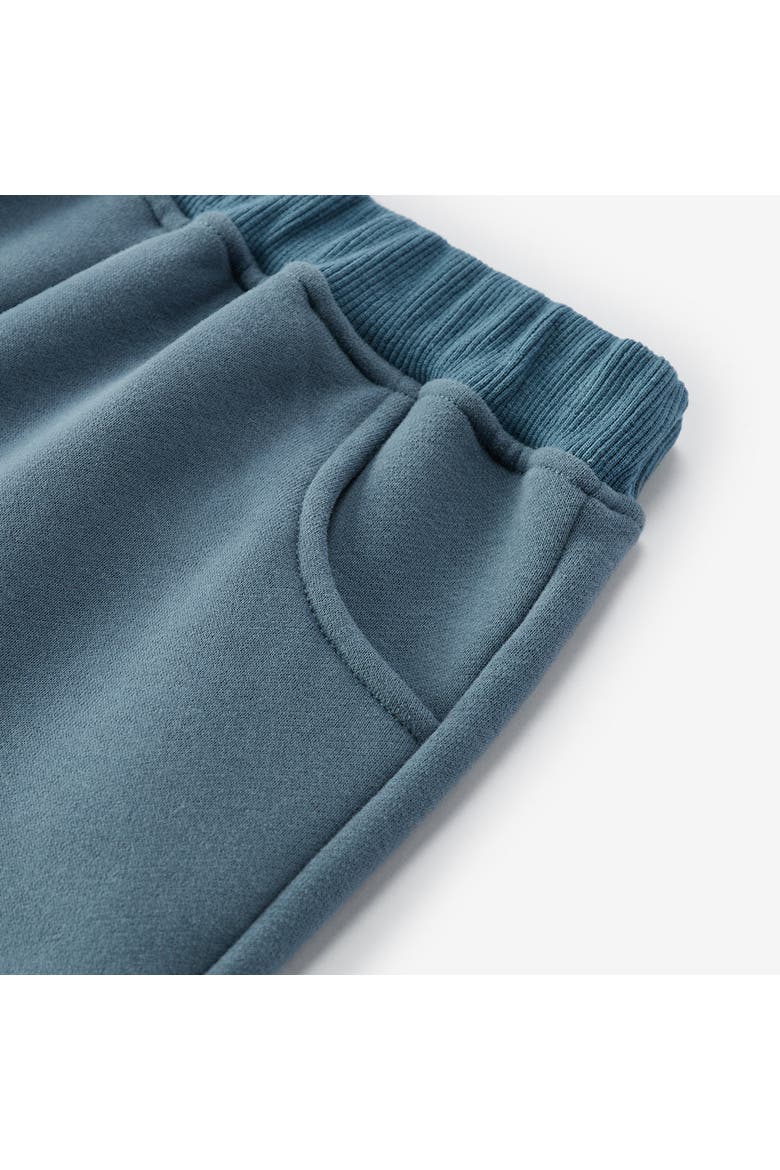 Cozy Sweatpants, Alternate, color, Dark Blue