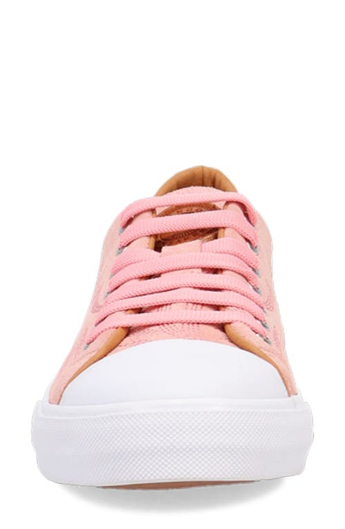 Dingo Campus Sneaker