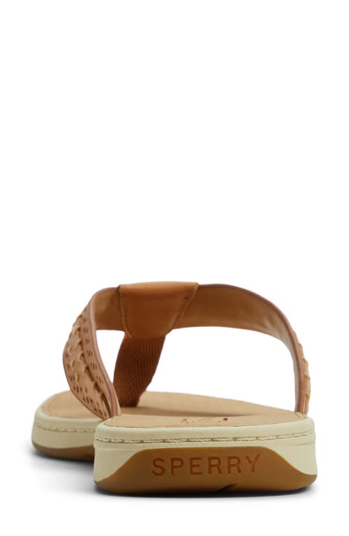 Sperry Seafish 3 Perforated Flip Flop In Brown