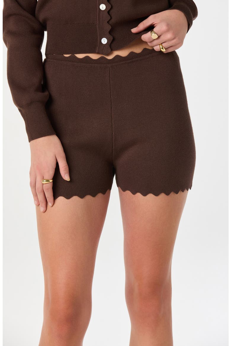 Scalloped Edge Knit Shorts, Alternate, color, BROWN