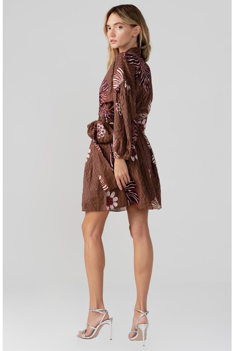 Sonya Long Sleeve Tie Waist Dress, Alternate, color, BROWN MULTI