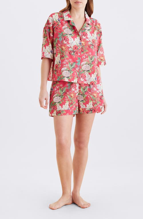 Papinelle Clara Cotton Voile Short Pajamas In Multi