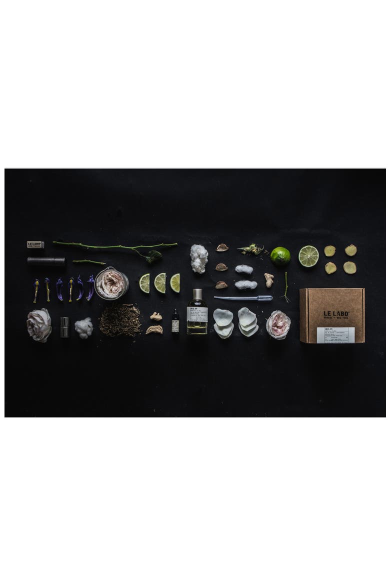 'Iris 39' Solid Perfume, Alternate, color, NO COLOR