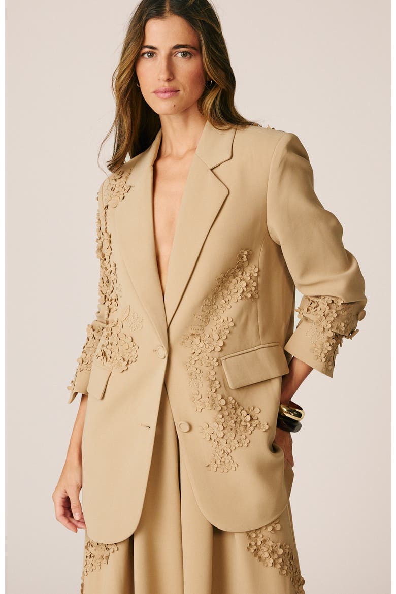 Embroidered Floral Blazer, Alternate, color, Beige