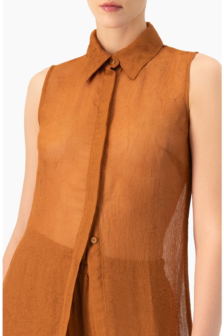 Sleeveless Collared Tunic, Alternate, color, Brown