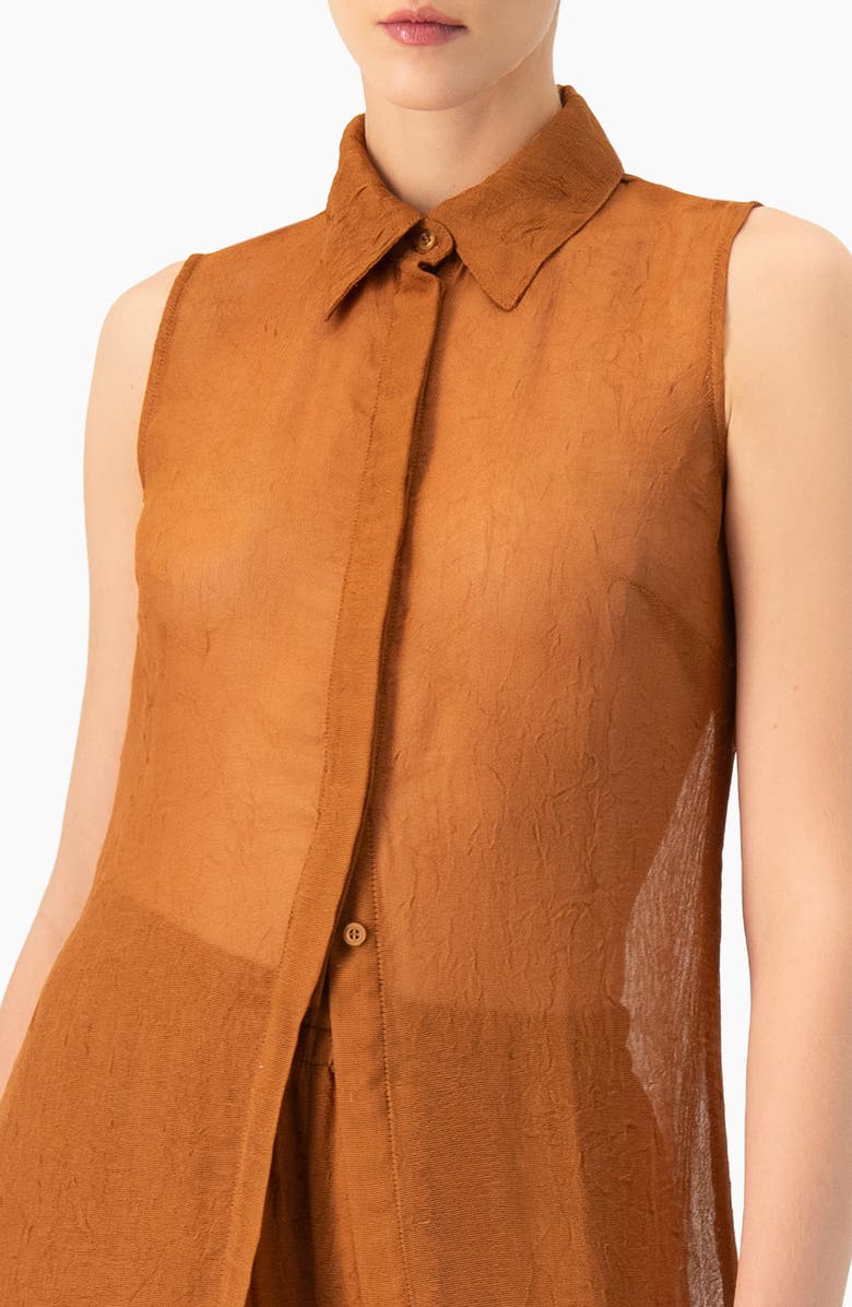 IVONNE Sleeveless Collared Tunic, Alternate, color, Brown