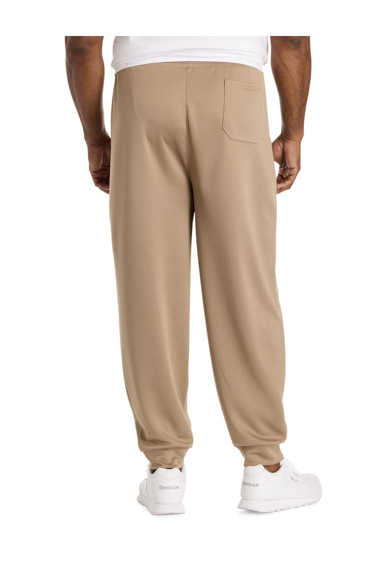 Big & Tall Birdseye Performance Textured Joggers, Alternate, color, GRAINY GREY