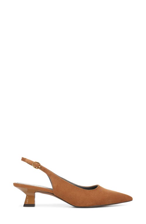 Franco Sarto Jaden Pointed Toe Slingback Pump In Brown