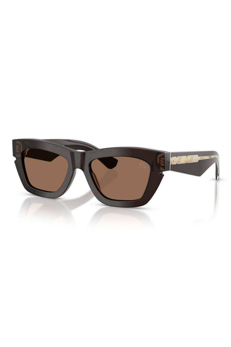 51mm Cat Eye Sunglasses, Alternate, color, BROWN