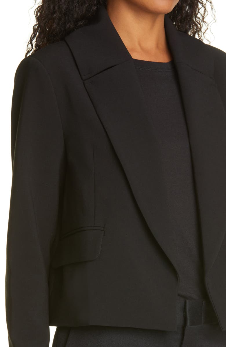 Rachel Comey Littoral Crop Jacket, Alternate, color,