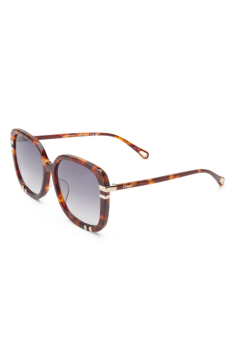 Chloé 59mm Square Sunglasses, Alternate, color, Havana Havana Blue