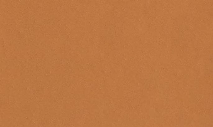 SHADE 12
