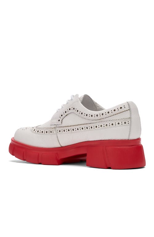 Marc Nolan Ms. Alexander Leather Lug Wingtip Derby