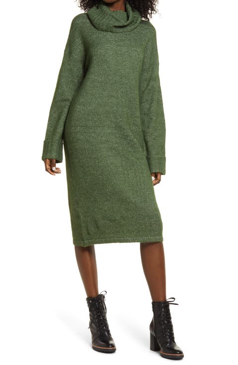 Gaiva Turtleneck Long Sleeve Sweater Dress
