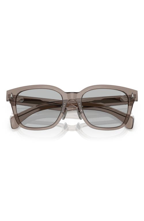 Moncler Claro 54mm Polarized Square Sunglasses In Grey
