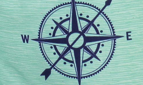 Snapper Rock Little Boy's & Boy's Compass Board Shorts In Green