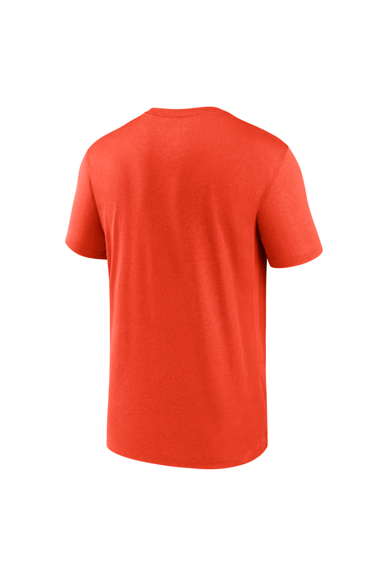 Men's Nike Orange Detroit Tigers New Legend Wordmark Dri-FIT T-Shirt, Alternate, color, Orange