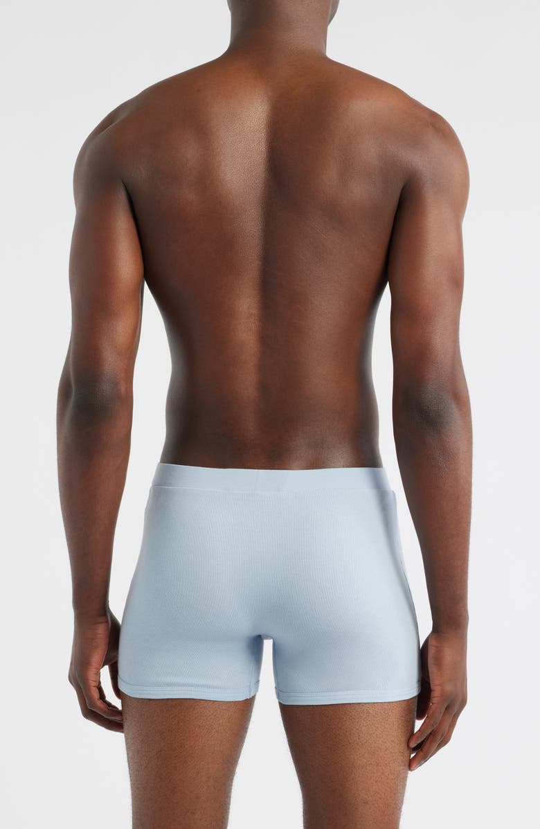 Organic Basics Icon 3-Pack Rib Stretch Cotton Trunks, Alternate, color, Grey / Cloudy Blue / Walnut