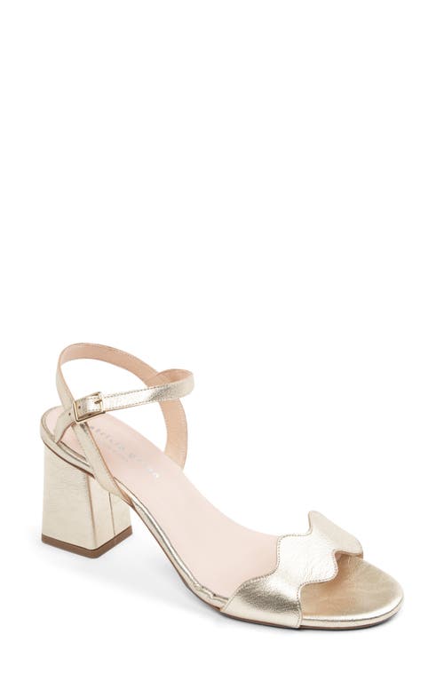 Patricia Green Palm Beach Sandal In Gold Leather