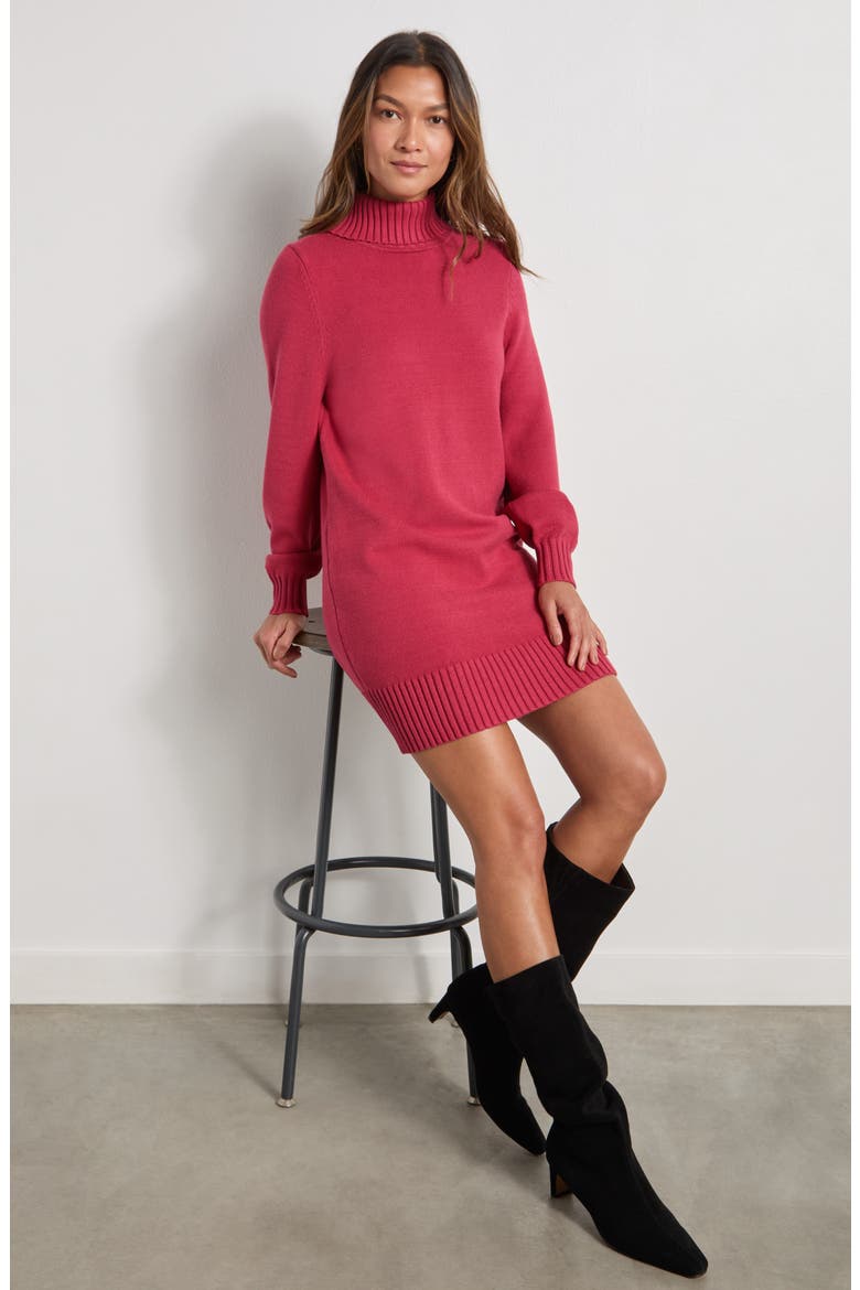 Freya Turtleneck Long Sleeve Sweater Minidress, Alternate, color, RED GRAPE