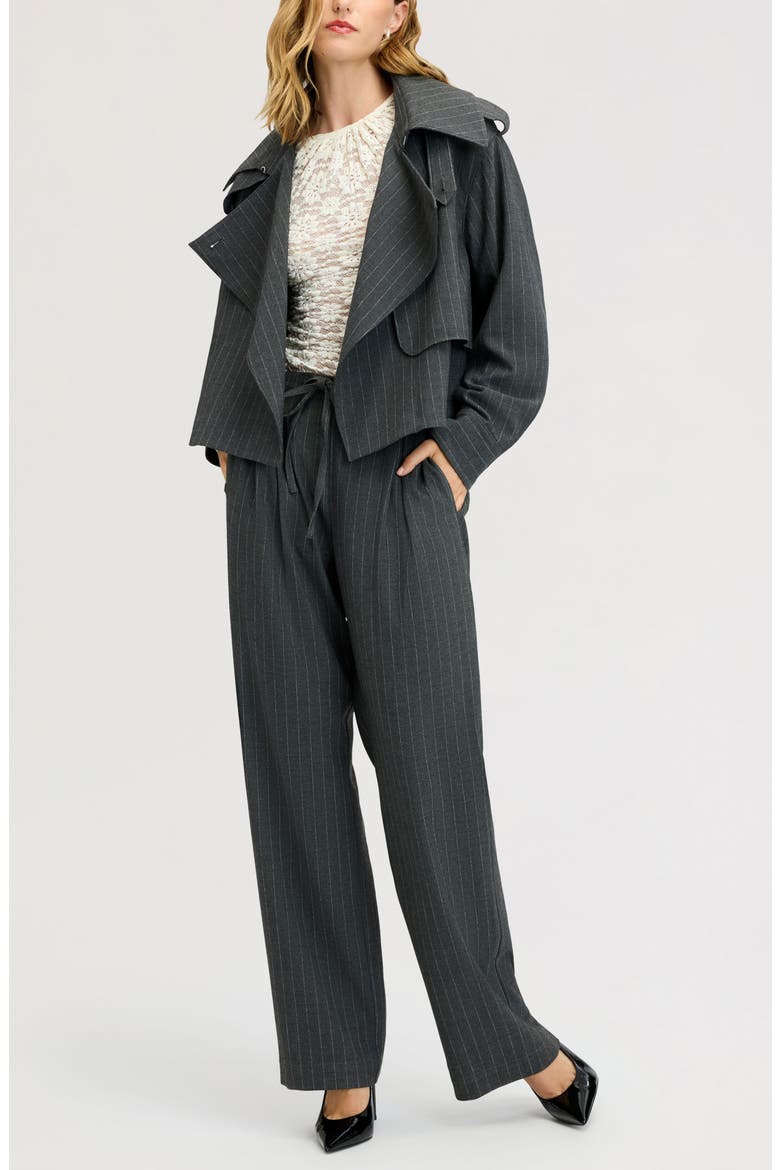 Pinstriped Draped Jacket, Alternate, color, GREY PINSTRIPE