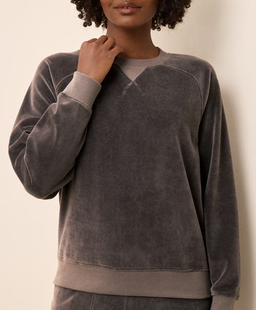 Pact Pure Velour Crew Sweatshirt In Multi