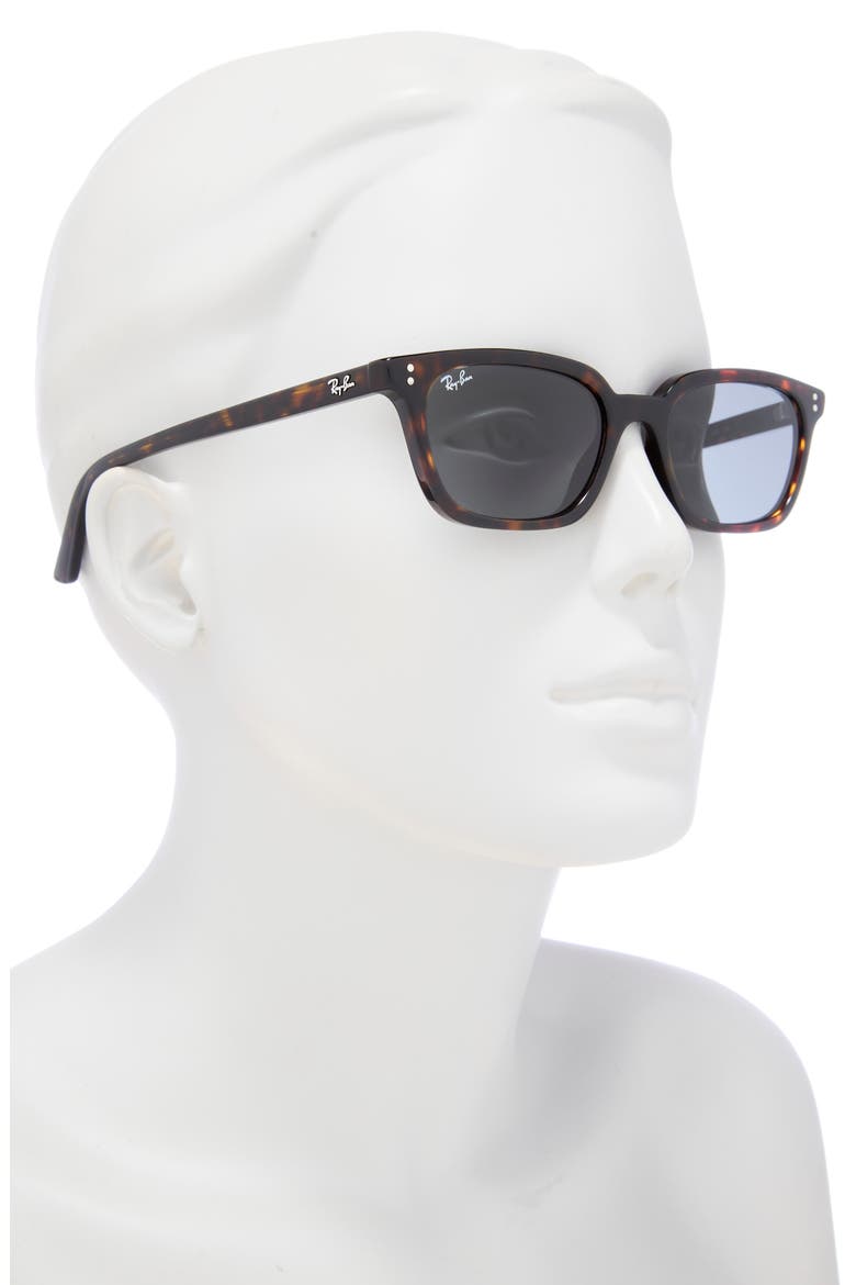 Zaya 53mm Sunglasses, Alternate, color, HAVANA