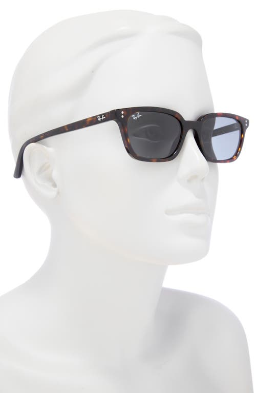 Ray Ban Ray-ban Zaya 53mm Sunglasses In Havana