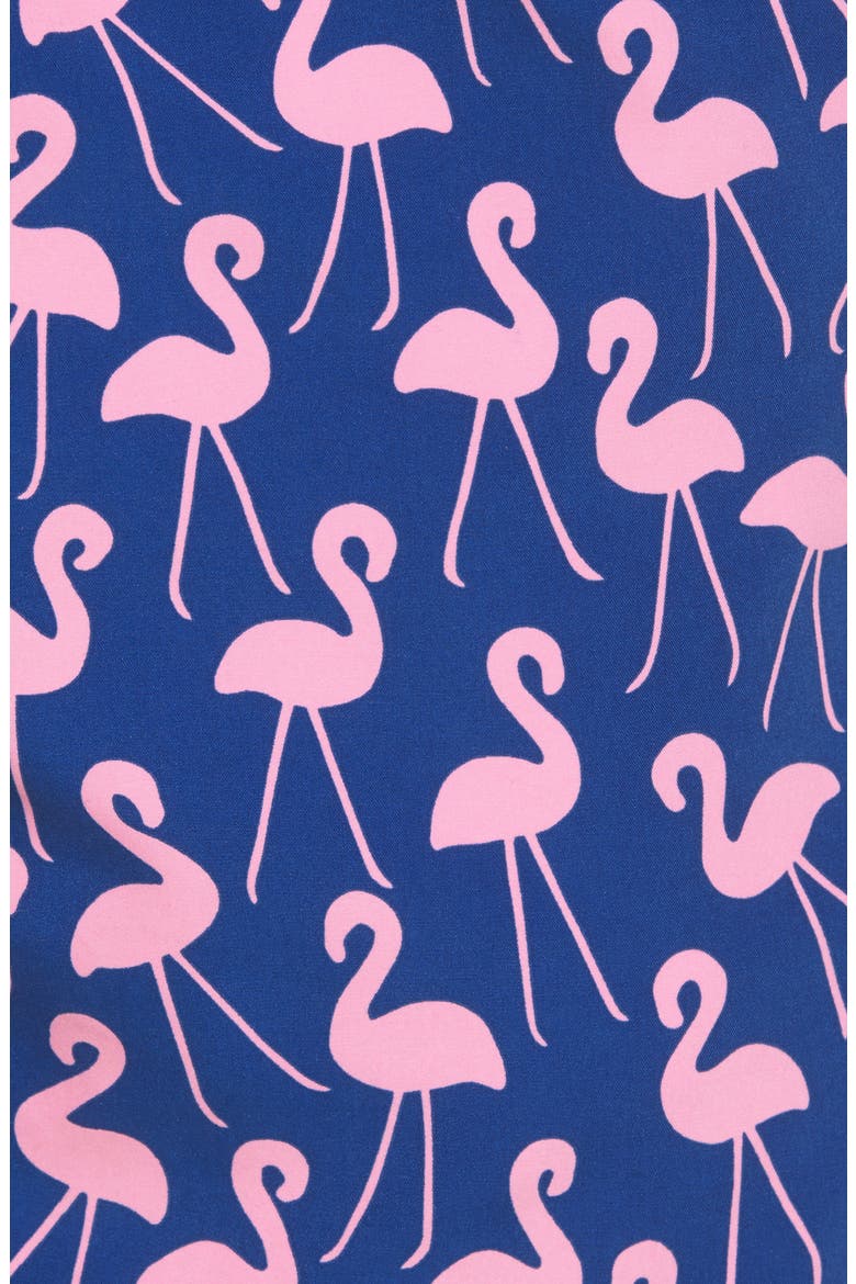 Flamingo Print Swim Trunks, Alternate, color, ROSE & BLUE